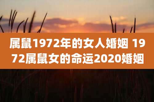 属鼠1972年的女人婚姻 1972属鼠女的命运2020婚姻
