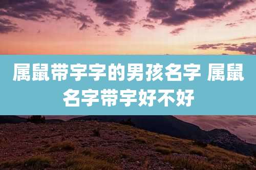 属鼠带宇字的男孩名字 属鼠名字带宇好不好