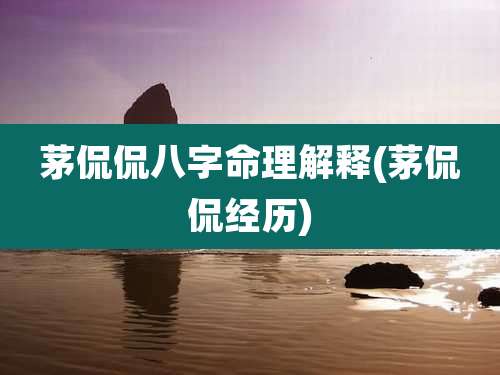 茅侃侃八字命理解释(茅侃侃经历)