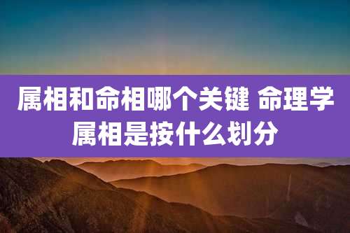 属相和命相哪个关键 命理学属相是按什么划分