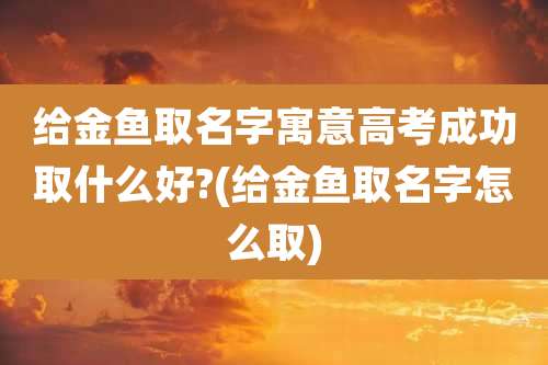给金鱼取名字寓意高考成功取什么好?(给金鱼取名字怎么取)