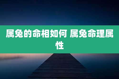 属兔的命相如何 属兔命理属性