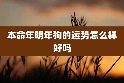 本命年明年狗的运势怎么样好吗