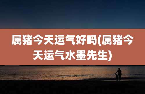 属猪今天运气好吗(属猪今天运气水墨先生)