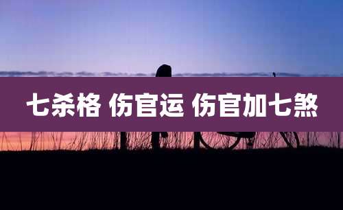 七杀格 伤官运 伤官加七煞