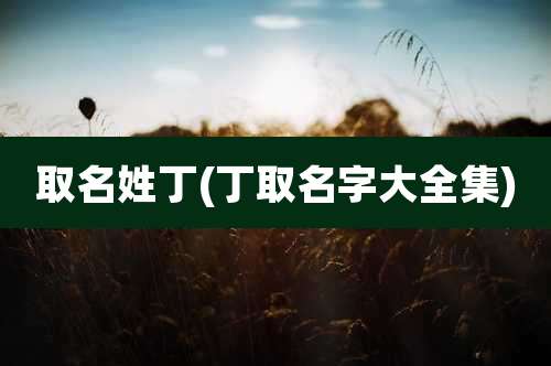 取名姓丁(丁取名字大全集)