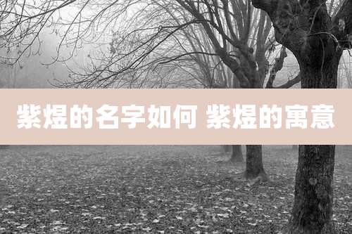 紫煜的名字如何 紫煜的寓意