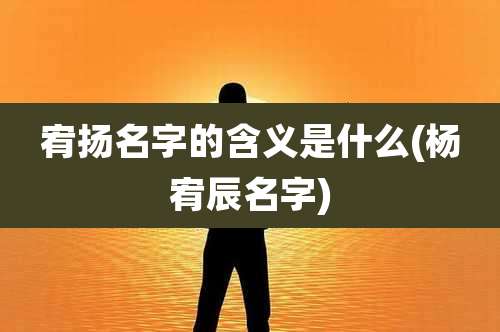 宥扬名字的含义是什么(杨宥辰名字)