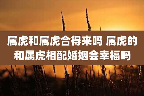 属虎和属虎合得来吗 属虎的和属虎相配婚姻会幸福吗