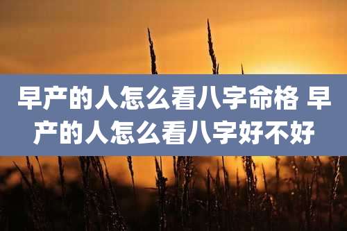早产的人怎么看八字命格 早产的人怎么看八字好不好