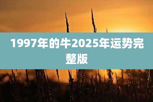 1997年的牛2025年运势完整版