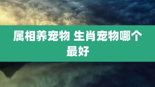 属相养宠物 生肖宠物哪个最好