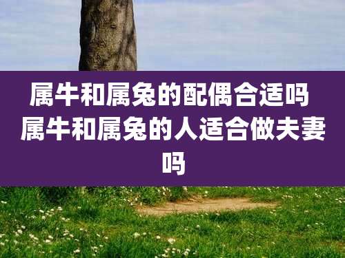属牛和属兔的配偶合适吗 属牛和属兔的人适合做夫妻吗