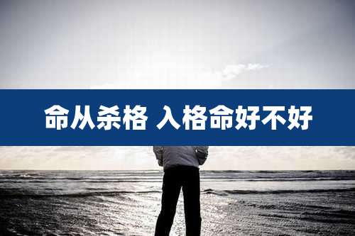 命从杀格 入格命好不好