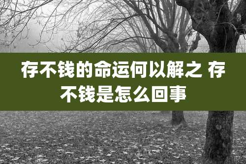 存不钱的命运何以解之 存不钱是怎么回事