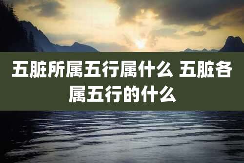 五脏所属五行属什么 五脏各属五行的什么