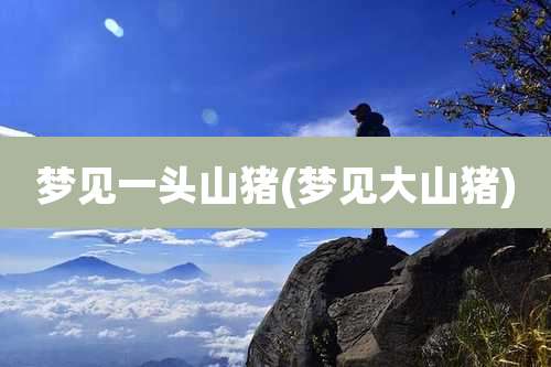 梦见一头山猪(梦见大山猪)