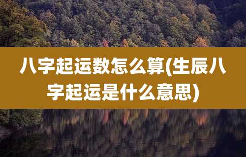 八字起运数怎么算(生辰八字起运是什么意思)