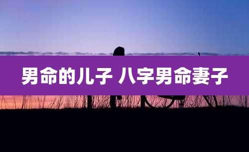 男命的儿子 八字男命妻子