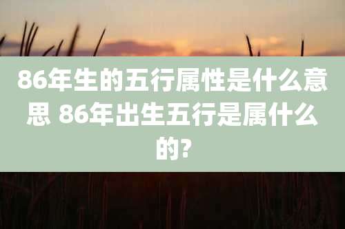 86年生的五行属性是什么意思 86年出生五行是属什么的?