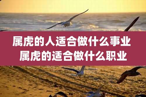 属虎的人适合做什么事业 属虎的适合做什么职业