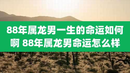 88年属龙男一生的命运如何啊 88年属龙男命运怎么样