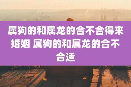 属狗的和属龙的合不合得来婚姻 属狗的和属龙的合不合适