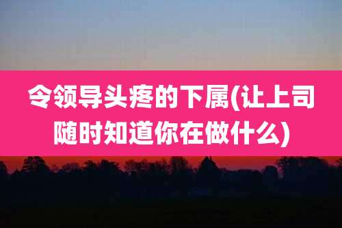 令领导头疼的下属(让上司随时知道你在做什么)