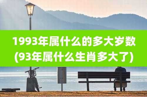 1993年属什么的多大岁数(93年属什么生肖多大了)