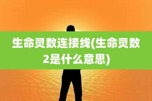 生命灵数连接线(生命灵数2是什么意思)