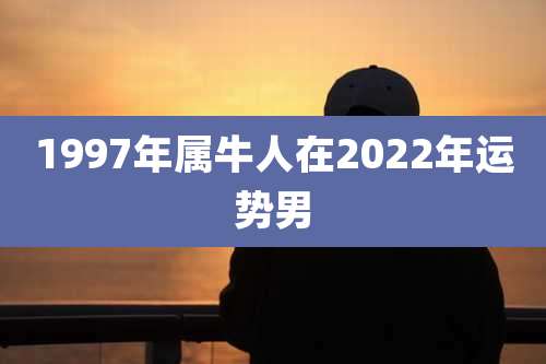1997年属牛人在2022年运势男