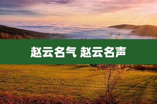 赵云名气 赵云名声