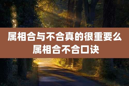 属相合与不合真的很重要么 属相合不合口诀