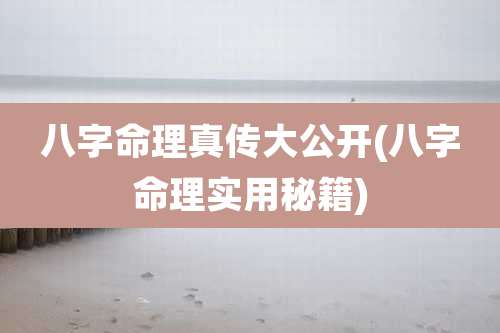 八字命理真传大公开(八字命理实用秘籍)