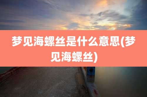 梦见海螺丝是什么意思(梦见海螺丝)