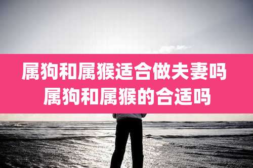 属狗和属猴适合做夫妻吗 属狗和属猴的合适吗