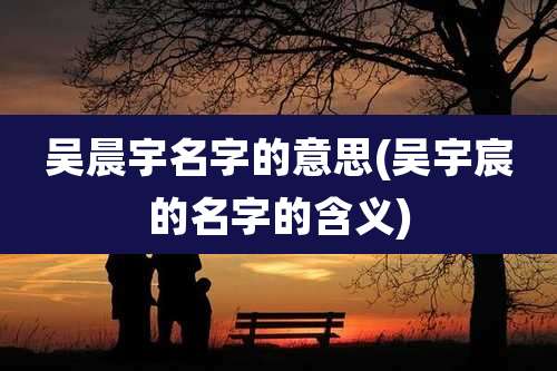 吴晨宇名字的意思(吴宇宸的名字的含义)