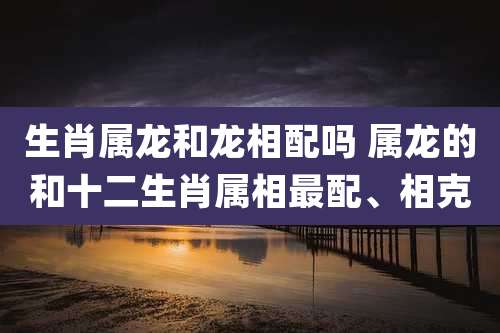 生肖属龙和龙相配吗 属龙的和十二生肖属相最配、相克