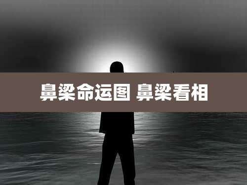 鼻梁命运图 鼻梁看相