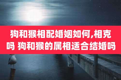 狗和猴相配婚姻如何,相克吗 狗和猴的属相适合结婚吗