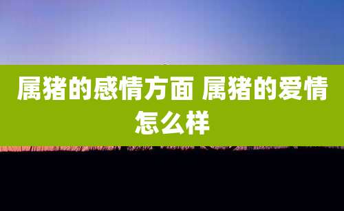 属猪的感情方面 属猪的爱情怎么样