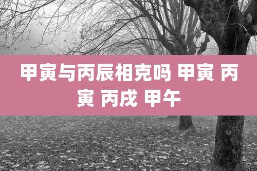 甲寅与丙辰相克吗 甲寅 丙寅 丙戌 甲午