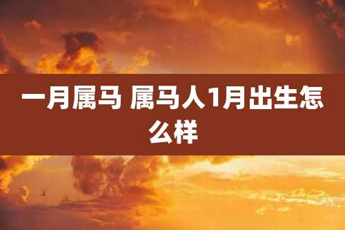 一月属马 属马人1月出生怎么样
