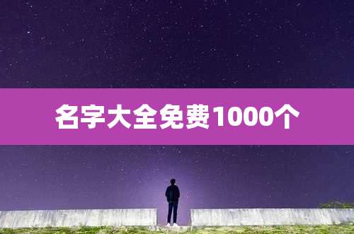 名字大全免费1000个