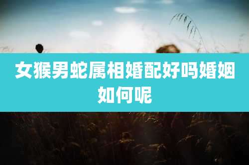 女猴男蛇属相婚配好吗婚姻如何呢