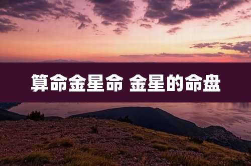算命金星命 金星的命盘