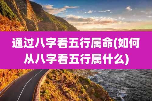 通过八字看五行属命(如何从八字看五行属什么)