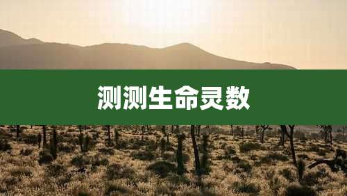 测测生命灵数
