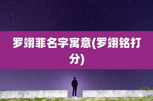 罗翊菲名字寓意(罗翊铭打分)