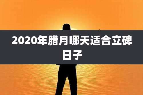 2020年腊月哪天适合立碑日子